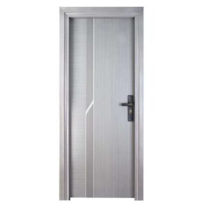 Modern Brushed Silver Single Panel Door